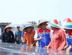 Dukung Petani Berbasis EBT, Kilang Pertamina Internasional Resmikan Program Desa Energi Berdikari Kalijaran