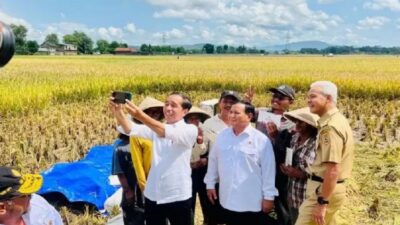 Contract Farming Tak Bisa Gantikan Food Estate