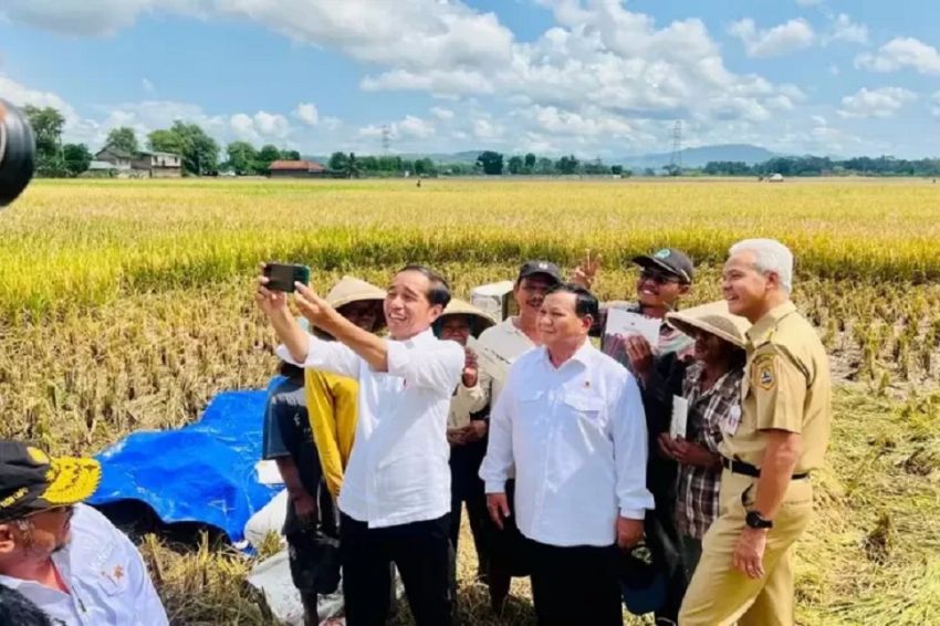 Contract Farming Tak Bisa Gantikan Food Estate