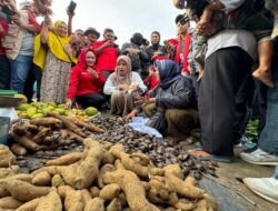 Blusukan Terakhir di Lampung, Siti Atikoh Borong Julang Jaling di Pasar Modern