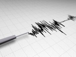 BMKG Sebut Gempa di Tanimbar Maluku Tidak Berpotensi Tsunami