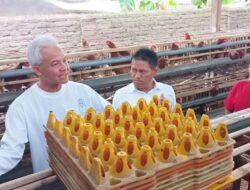 Ganjar Sebut Telur dan Ikan untuk Ibu Hamil Jadi Cara Ampuh Tangkal Stunting