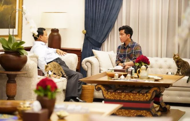 Prabowo dan Gibran Bersama Dua Kucing Diskusi di Kertanegara