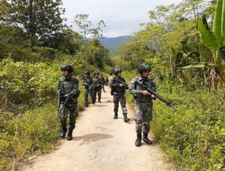 5 Fakta Kontak Senjata KKB Papua vs TNI di Puncak Jaya, 1 Anggota Marinir Gugur