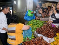 Beli Jeruk 5 Kg hingga Mangga 2 Kilogram