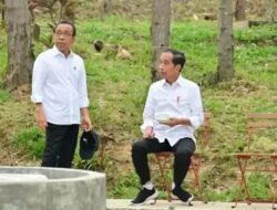 Besok, Jokowi Kunker ke IKN Cek Tempat Upacara 17 Agustus