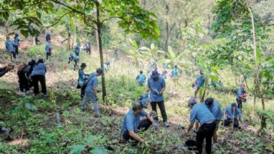 TRID-Perhutani Tanam 200 Pohon untuk Masa Depan Berkelanjutan