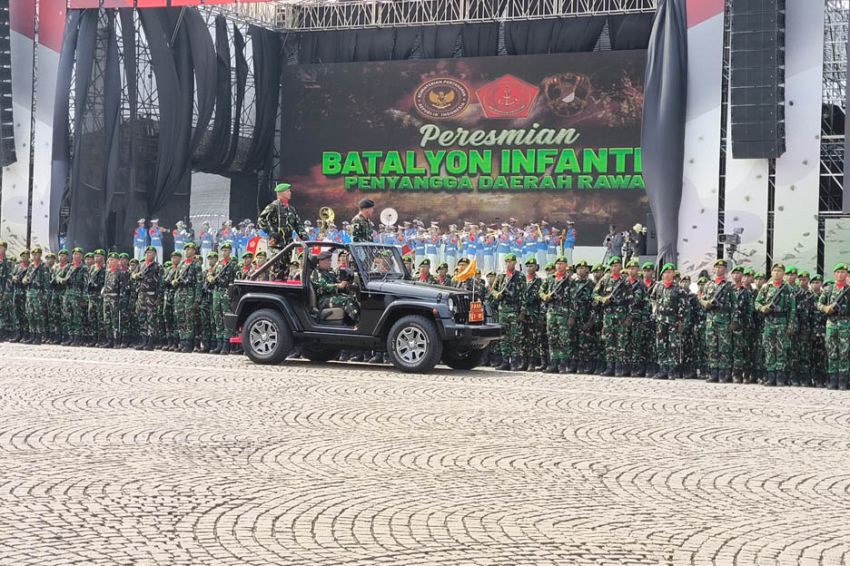 TNI Bentuk 5 Batalyon Infanteri Baru di Papua