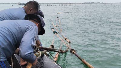 Penemuan Menjanjikan: Demokrat Bongkar SHGB Pagar Laut sebelum AHY