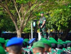“Koleksi Brevet Mayjen TNI Novi Helmy: Penemuan Menjanjikan”