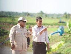 Prabowo Swasembada Pangan: Target Realistis 4 Tahun
