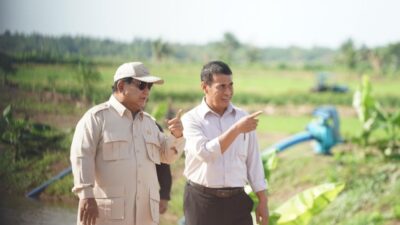 Prabowo Swasembada Pangan: Target Realistis 4 Tahun
