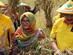 “Mbak Tutut Kembali Bergabung ke Partai Golkar: Penemuan Menjanjikan”