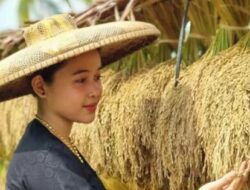 Ketahanan Pangan di Masyarakat Baduy: Peran Padi Huma dalam Konservasi Alam
