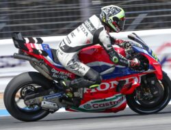 Puig Honda Berhati-hati: Penemuan dan Wawasan Menjanjikan