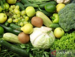 Manfaat Konsumsi Sayuran Hijau untuk Kesehatan Jantung dan Pencernaan