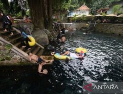 7 Wisata Eco-Friendly di Indonesia untuk Pecinta Alam