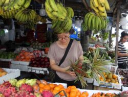 10 Makanan Super untuk Meningkatkan Daya Tahan Tubuh