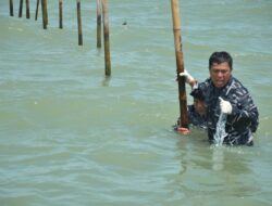 Pembongkaran Pagar Laut di Banten: Progres 22,5 KM