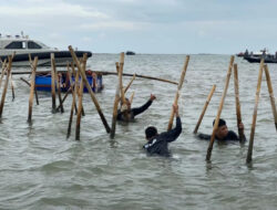 Kejagung Kembalikan Berkas Perkara Pagar Laut Tangerang: Analisis dan Penjelasan