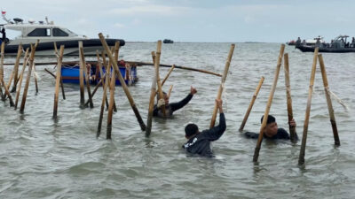Kejagung Kembalikan Berkas Perkara Pagar Laut Tangerang: Analisis dan Penjelasan