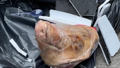 Seret Dalang Teror di Kantor Tempo: Meja Hijau Terungkap!