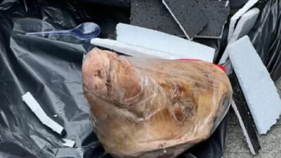 Kebebasan Pers Terancam oleh Teror Kepala Babi dan Bangkai Tikus