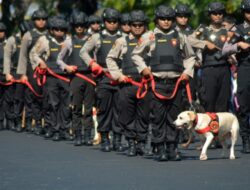 Peran Forum Purnawirawan TNI dalam Struktur Pemerintahan: Perspektif Anggota DPR