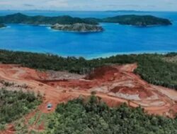 Pelaku Wisata Selam Indonesia: Hentikan Tambang Nikel di Raja Ampat