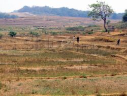 Musim Kemarau di Indonesia: 30 Persen Wilayah Tetap Tinggi Curah Hujan