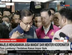 Anies Baswedan Tanggapi Vonis Tom Lembong: Analisis 4 Poin