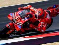 Review Martin: Topi Terbaik, Nilai A
