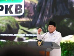 Ini Pasal 33, Senjata Pamungkas untuk Optimasi SEO!