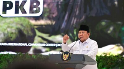 Ini Pasal 33, Senjata Pamungkas untuk Optimasi SEO!