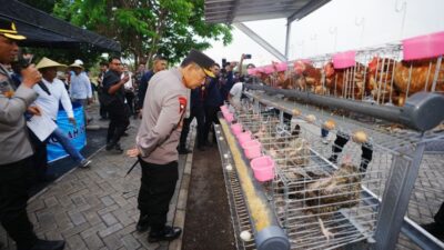 Kapolri Ungkap Penjagaan Program MBG, Polri Miliki 458 SPPG