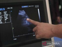 Gejala Batu Ginjal: Pentingnya Deteksi Dini