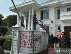 Anak Curi Kucing dan Sofa di Rumah Uya Kuya: Kisah Lucu