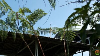 Arista Montana dan Siklus Pengolahan Sampah Ramah Lingkungan