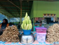 7 Manfaat Air Rebusan Jagung untuk Kesehatan: Fakta Jarang Diketahui