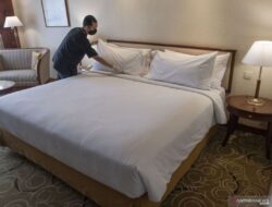 5 Tanda Kutu Kasur Telah Menyerang Tempat Tidur Anda – Solusi Efektif!